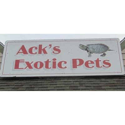 I was pre approved and allowed to play with the kitties and ended up adopting one. . Acks exotics
